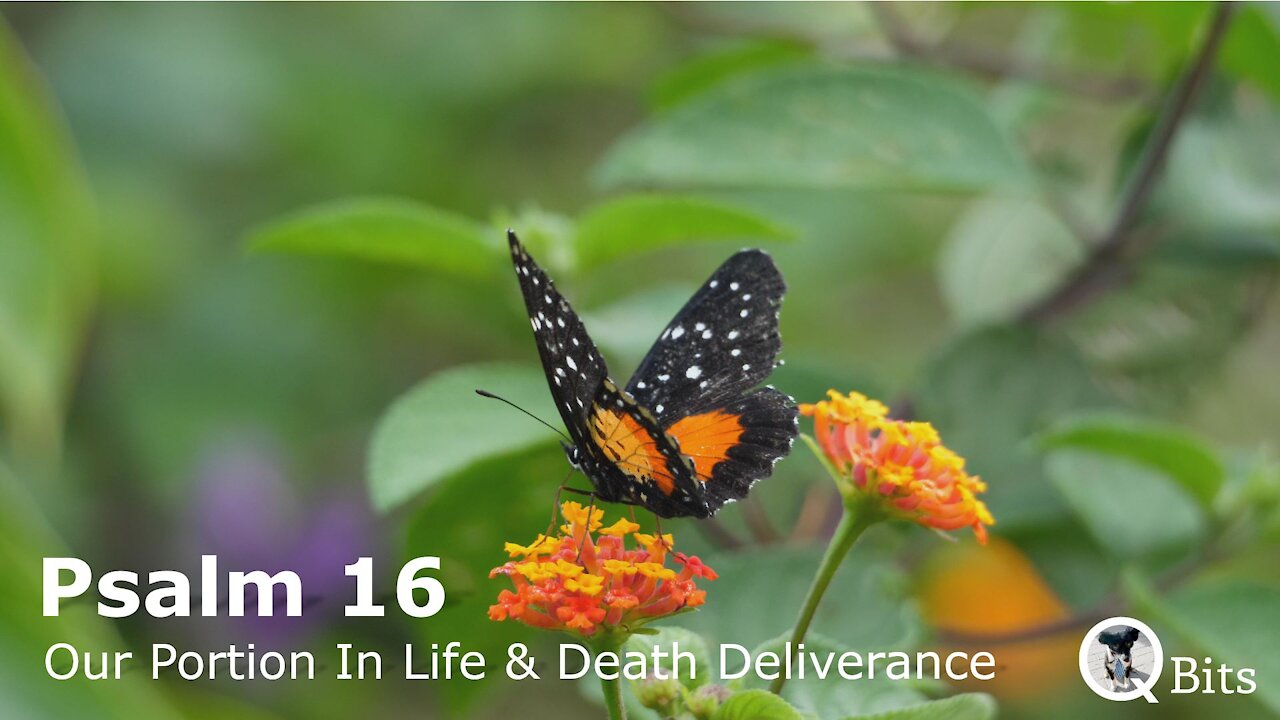 PSALM 016 // OUR PORTION IN LIFE AND DELIVERER IN DEATH