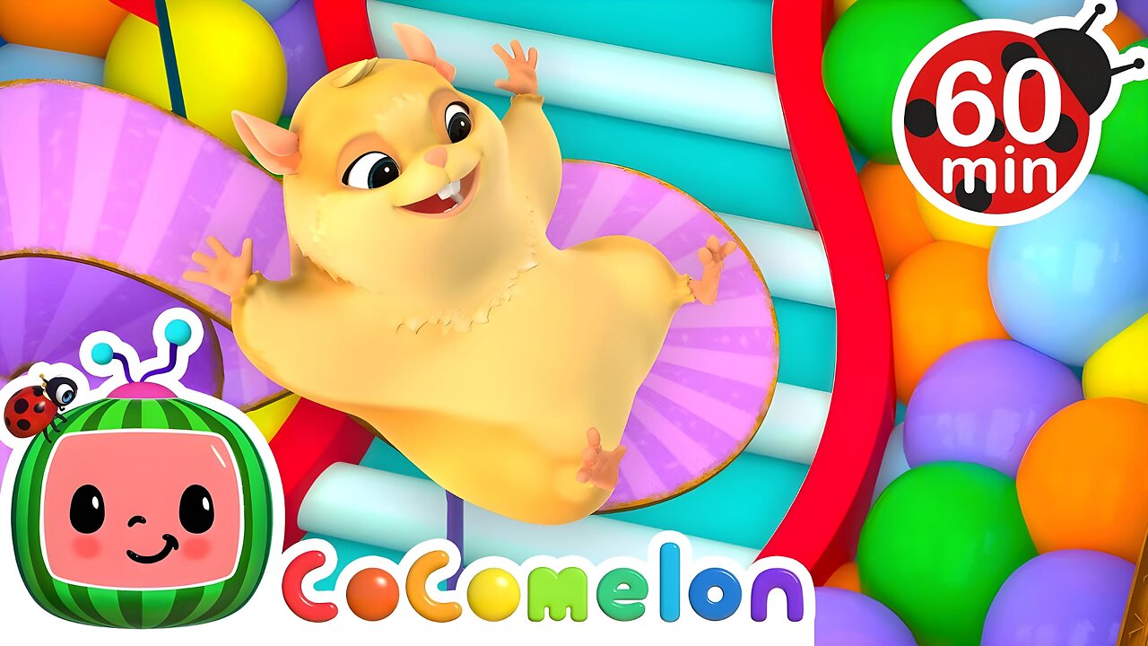 Hamster vs Maze 🐹 Hamster's Great Escape! 🐹 + MORE CoComelon Nursery Rhymes & Kids Songs