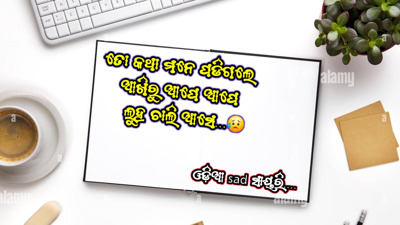 ତୋ କଥା ମନେ ପଡିଗଲେ ଆଖିରୁ ଆପେ ଆପେ ଲୁହ ଚାଲି ଆସେ.. #odia_sad_sayari #dhoka_shayari
