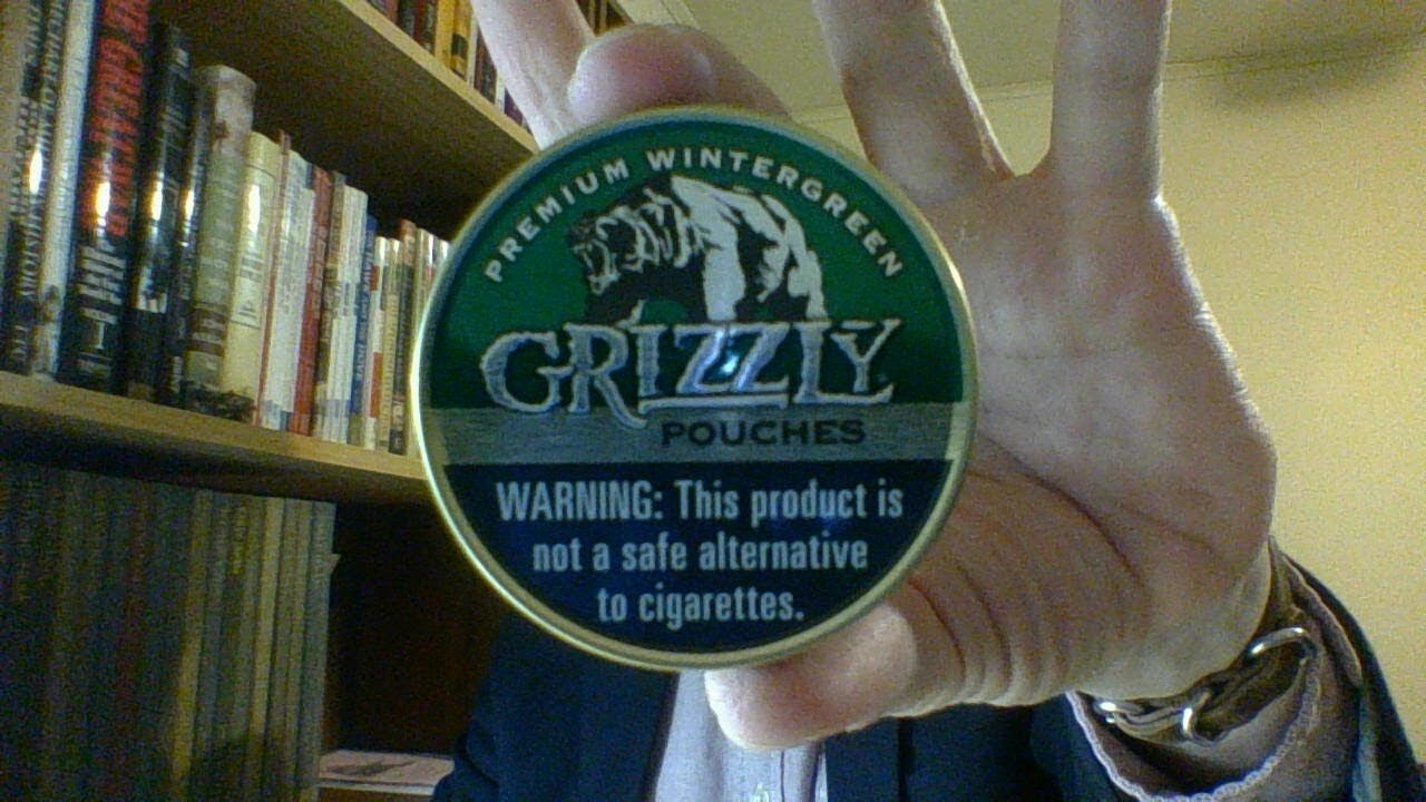 The Grizzly Wintergreen Pouches Review