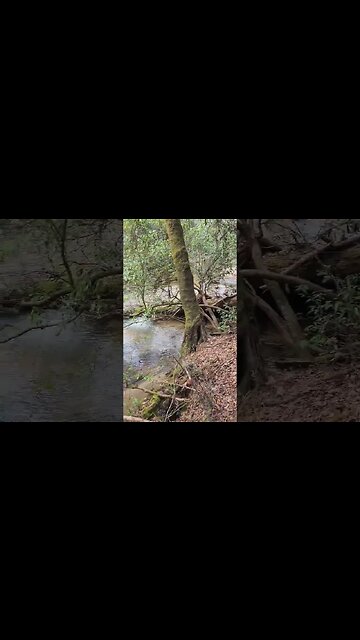 Good Friends and Good Times! #shorts