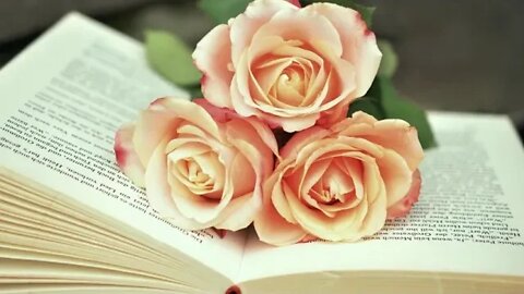 Roses are FASCINATING but so ARE YOU