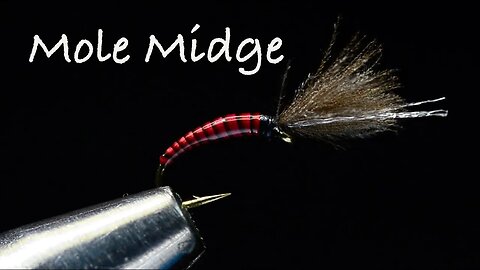 Mole Midge Fly Tying Instructions - Tied by Charlie Craven