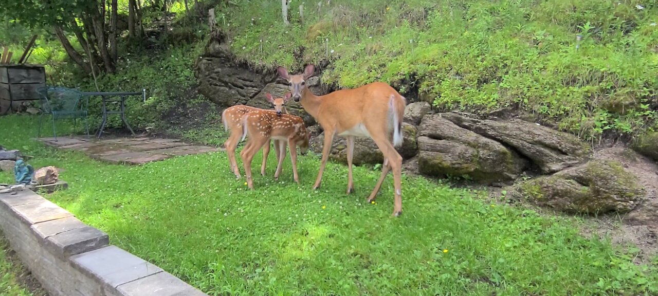 Caring mama stops by with her adorable twins