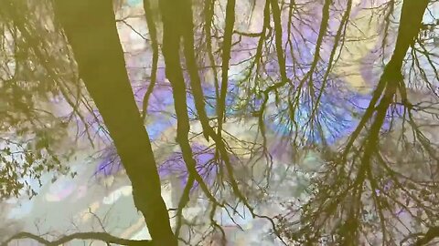 Contaminated Water Can't be Hidden in East Palestine, Ohio