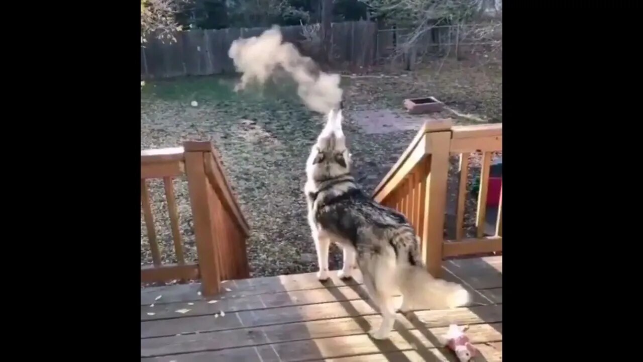 On A Cold Day