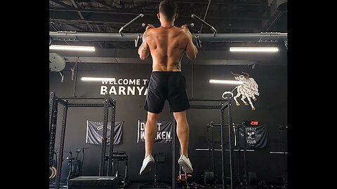 Chinup Isometric Hold (Supinated Pullup Hold)