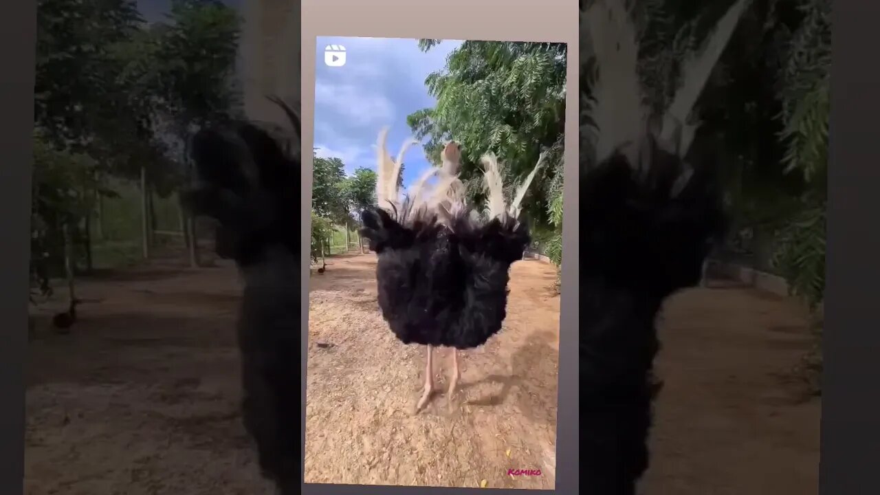 #funny