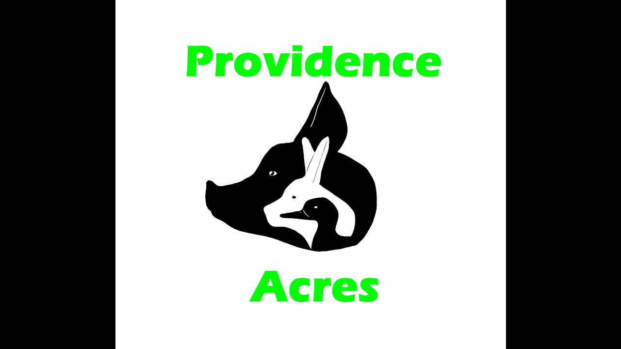 Welcome To Providence Acres!