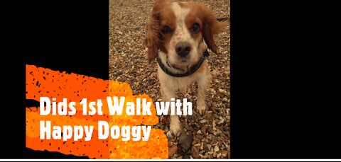 Dids 1st Walk with Happy Doggy