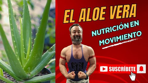 El aloe vera