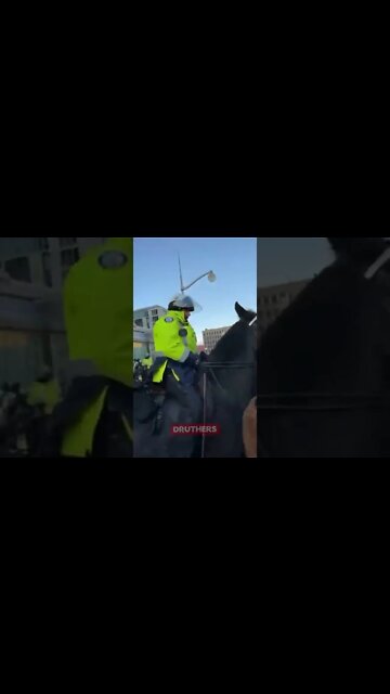 Police horses trampling people in Ottawa today!!