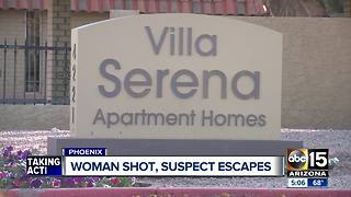 Woman shot at Phoenix apartment, suspect on the run