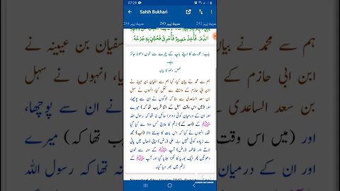 Hadees SHARIF Sahi bukhari SHARIF hadees number #243 in arbic urdu and English language