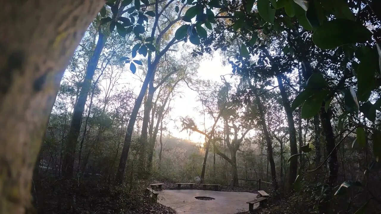 9 Day wilderness camping trip day 1 and 2 the Suwannee river