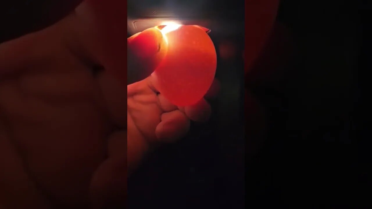 Hatching eggs with Mrs. B part 2