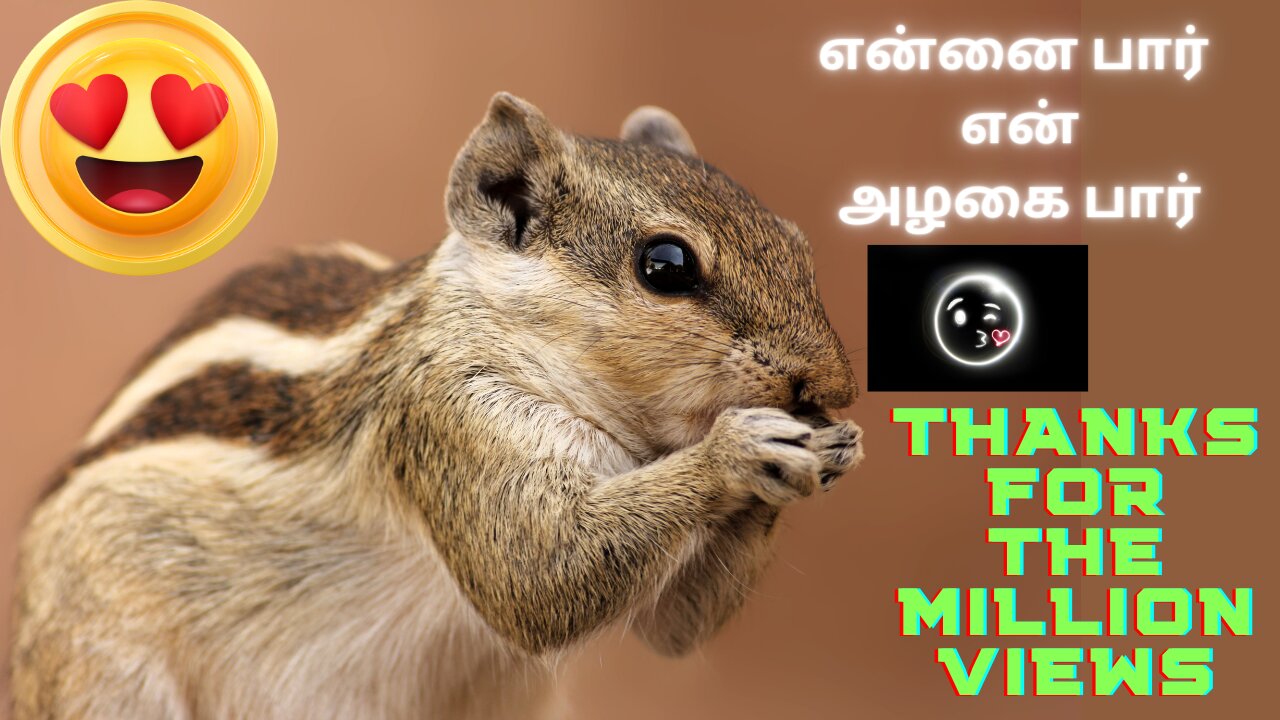 Funny Squirrel VoiceOver in Tamil