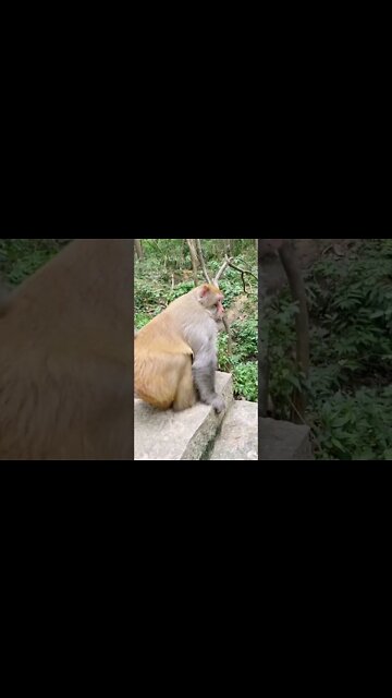 Most Amazing and trending video||relaxing your mind||trendig videos|| #shorts #trending #viral #live