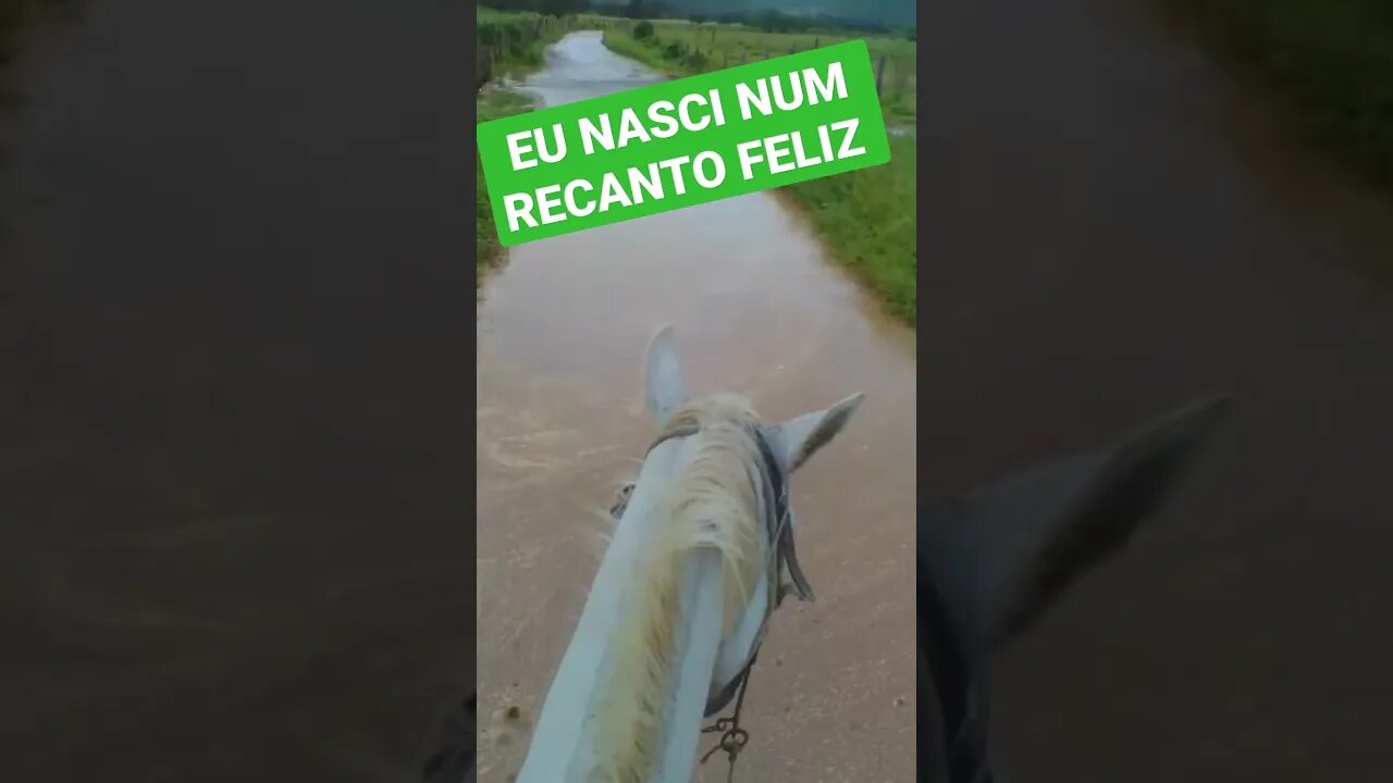 EU NASCI NUM RECANTO FELIZ...