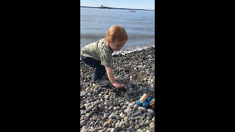 Monster cars on the beach