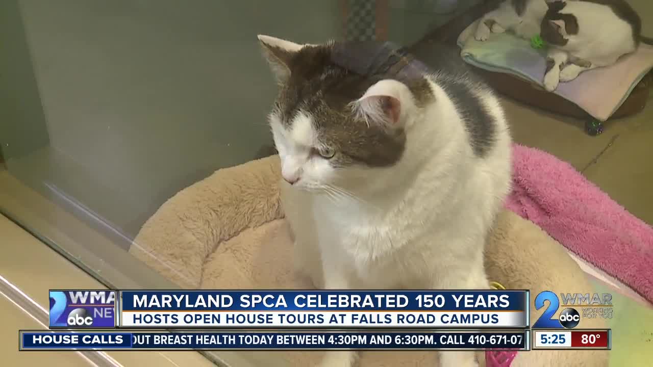 Maryland SPCA celebrates 150 years