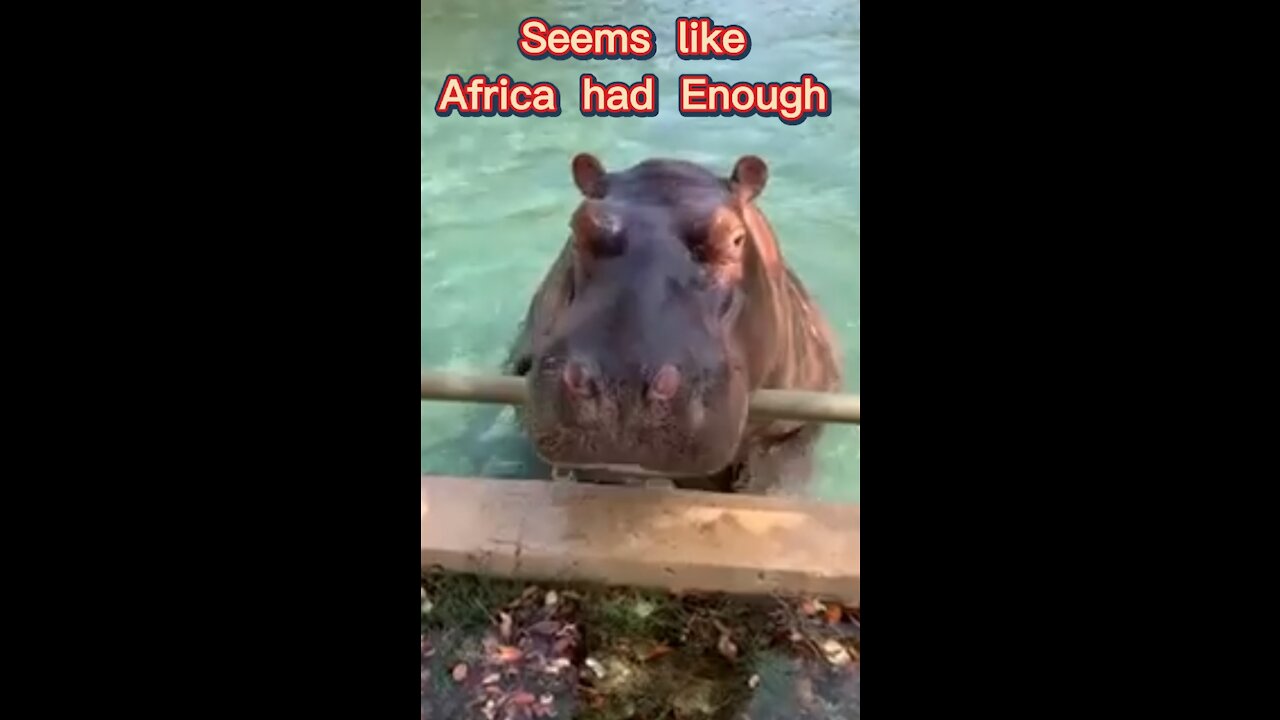 Seems Like Africa Had Enough