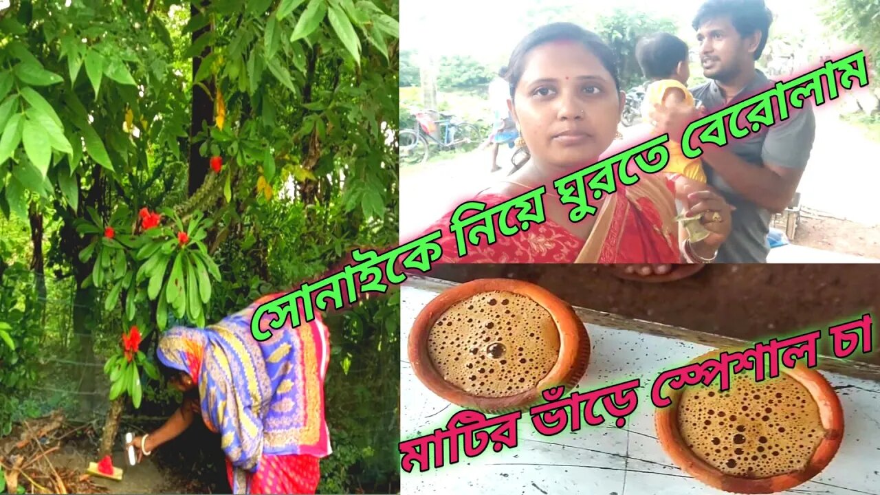 মনসা পূজোর ব্লগ দিতে দেরি হয়ে গেল#msvillagelifestyle