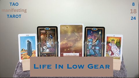 LIFE IN LOW GEAR