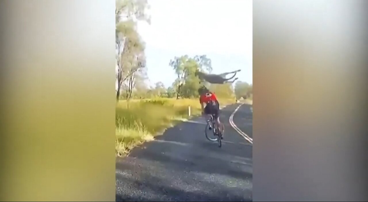 kangaroo jump cyclist