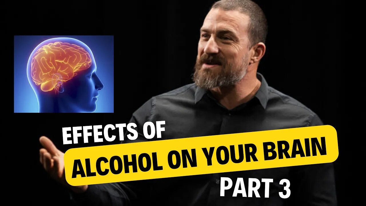 What Does Alcohol to Your Brain, Effect & Consequences of Consuming it. (Part 3).