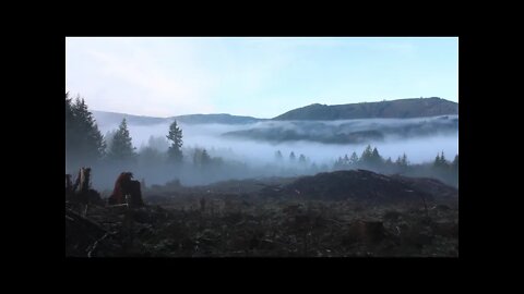 Music Video! - Psalm 55 My Own Song!