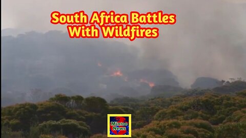 Wildfires in South Africa: Firefighters battle blazes near Cape Town