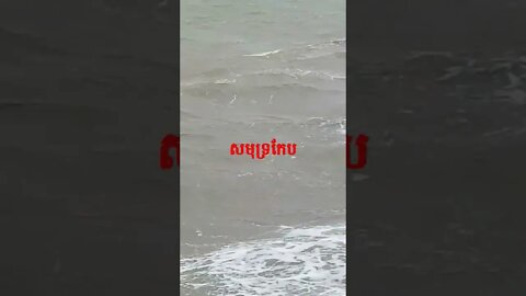 សមុទ្រកែប #shorts