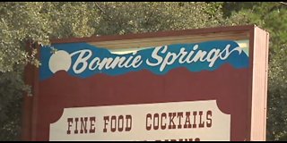 Petition calls on Las Vegas to protect Bonnie Springs Ranch