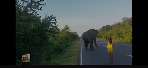 Elephant Conrtol One hand A little girl