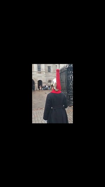 Female guard gives the nod #horseguardsparade
