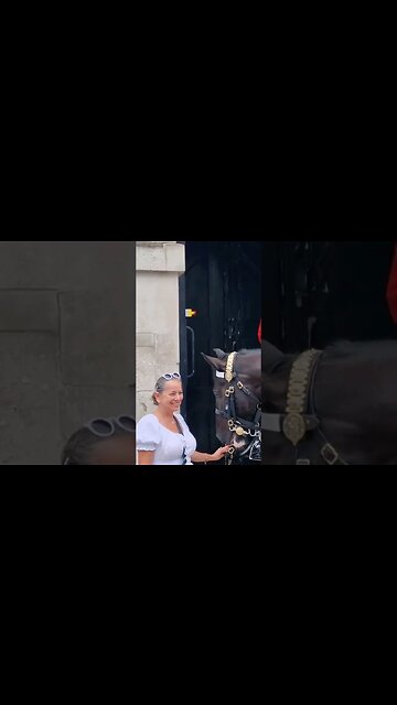 Holding the bit #horseguardsparade