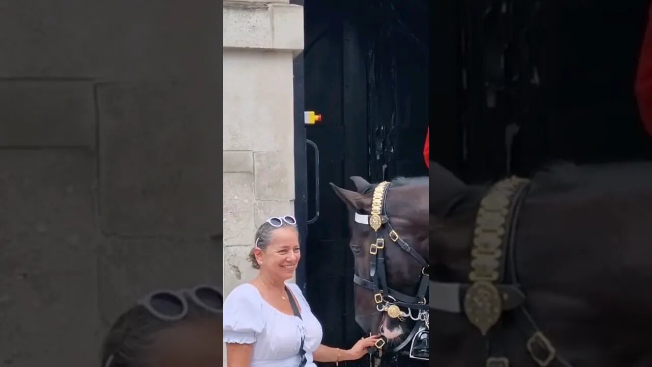 Holding the bit #horseguardsparade