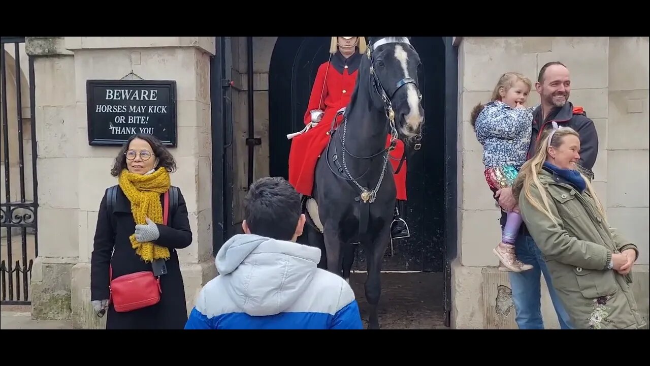 The Horse bites little girl #horseguardsparade