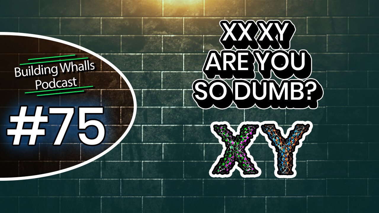 XX XY Are You So Dumb? - Building Whalls Podcast #75