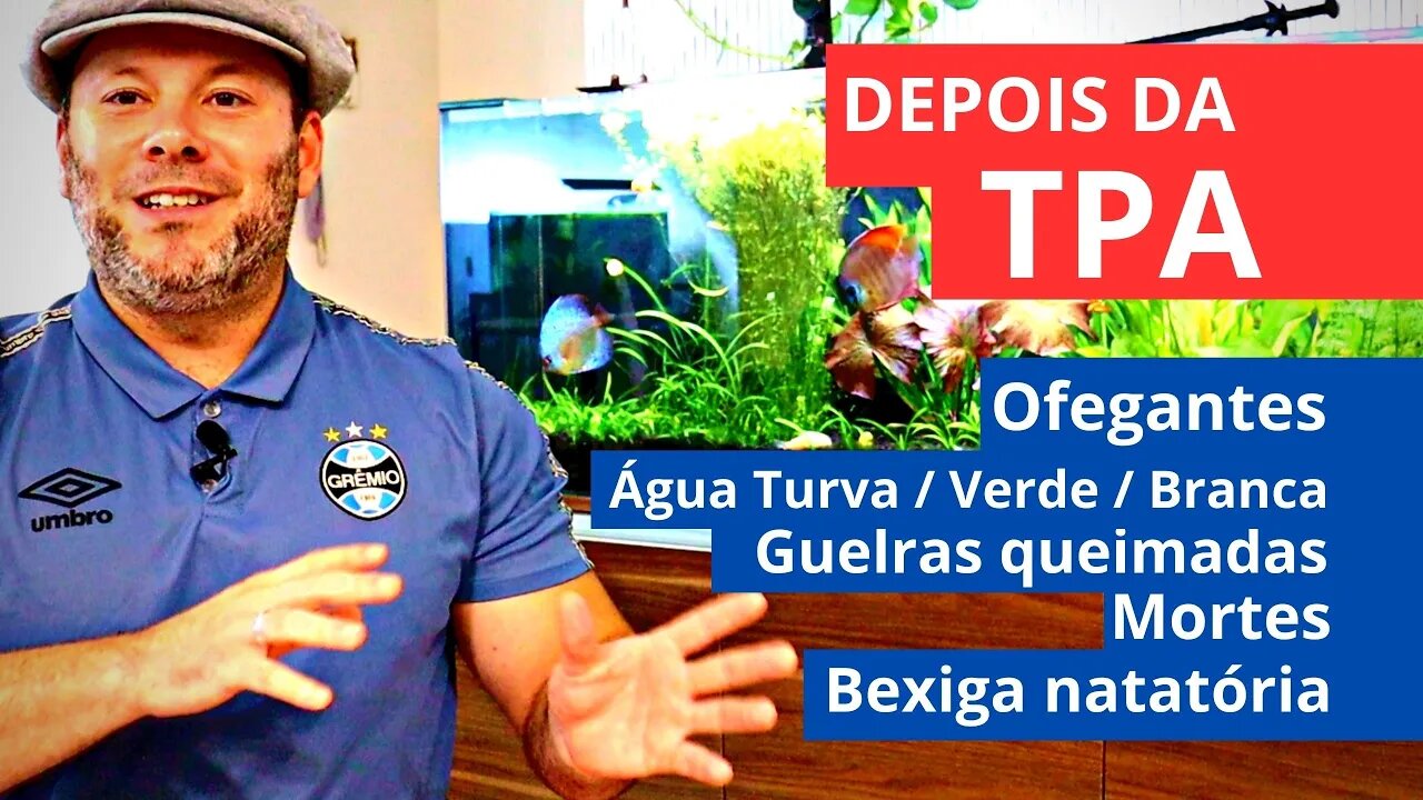 Peixes Morrendo Pós TPA? Pode Ser a Água Nova! Fácil de Resolver!