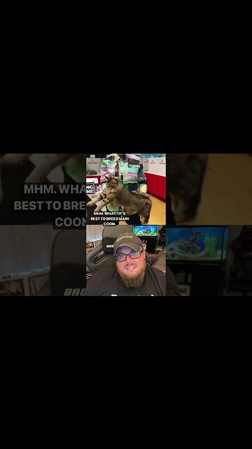 Here’s Your Dose of REALarious…🤣🤣🤣 with @goose_2659 #duet #funnycomedy #makeyoulaugh #watchfunny