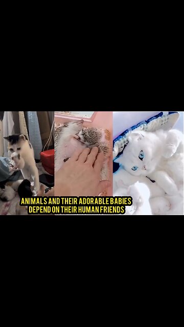 Animals and Their Adorable Babies Depend on Their Human Friends