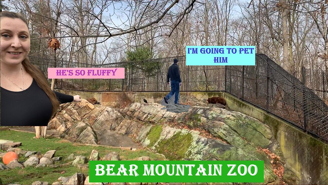 Bear Mountain Zoo and NY City drive