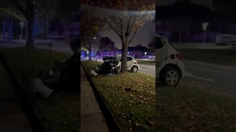 CAR WRAPPED ROUND TREE