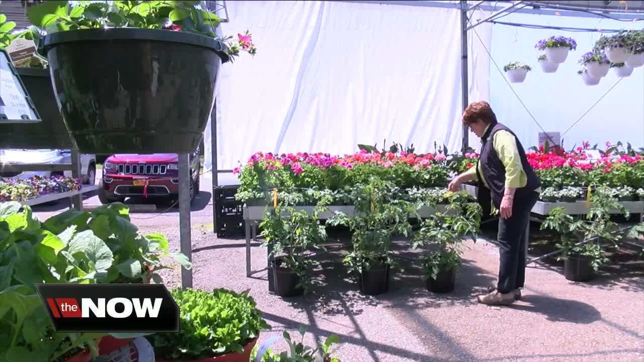 Gardeners can rent space at Lockwood's Garden Center in Hamburg