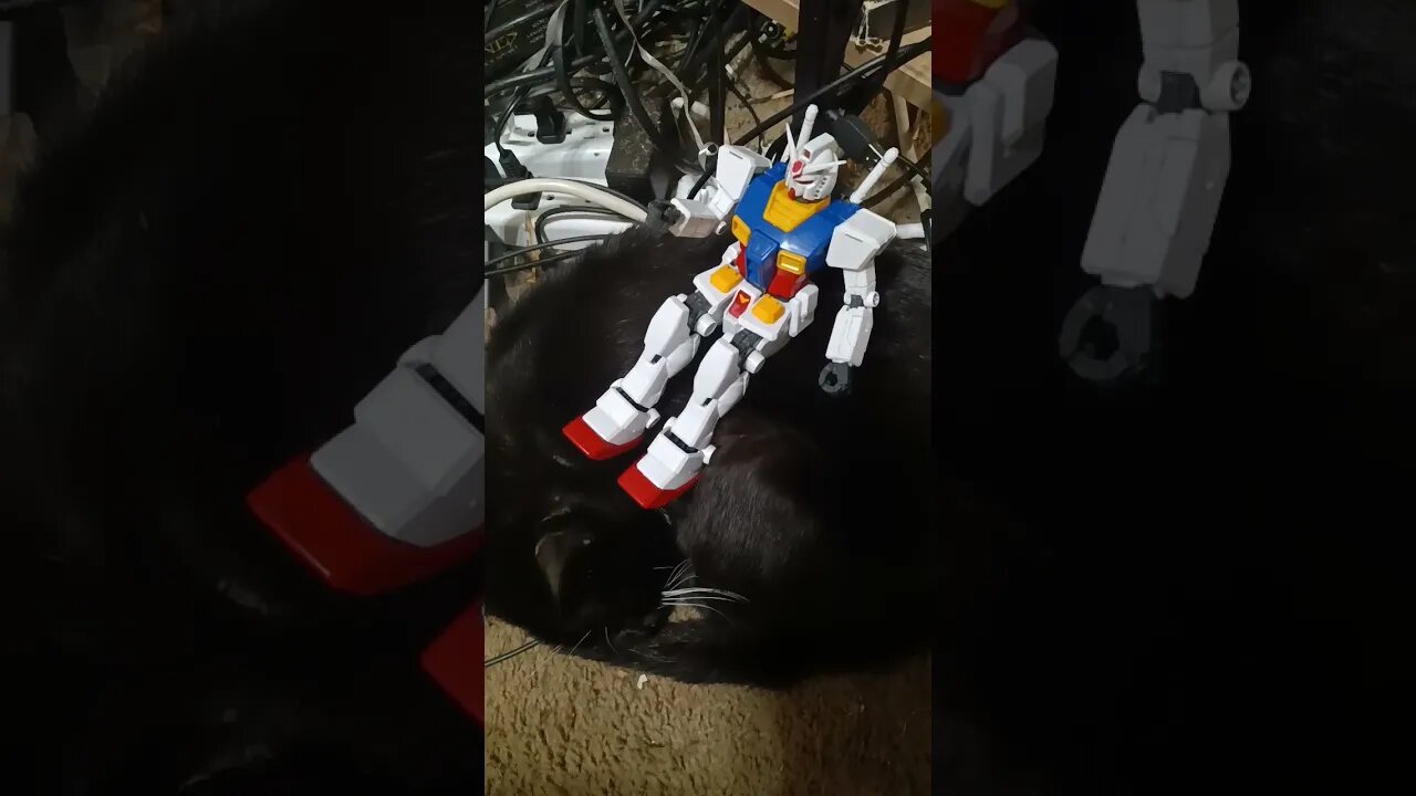 Gundam on a kitty #shortsfeed #kittycat #shortsvideo #catvideos #youtubeshorts