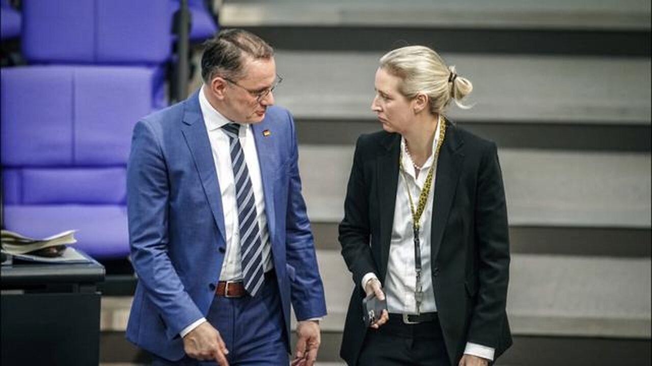 AFD-Verbot könnte nach hinten losgehen