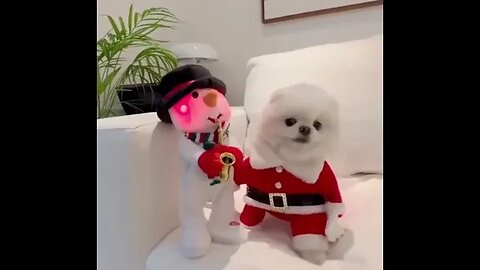 puppy play terompet