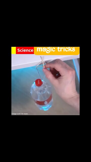 Science Experiments 4 #dailyhackness #Shorts #ytshorts #challenges #doityourself #useful